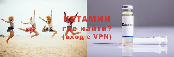 гидра Богородицк