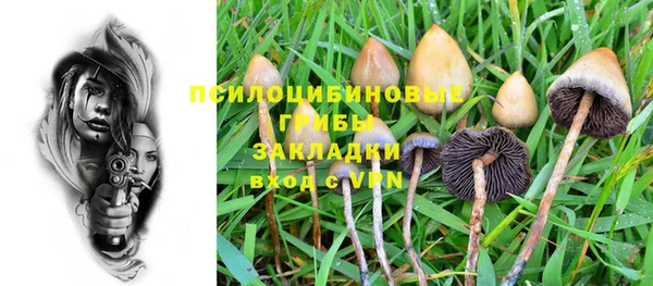 гидра Богородицк