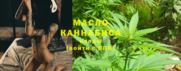 гидра Богородицк