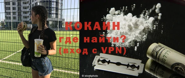 гидра Богородицк