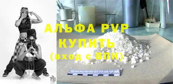 шишки Слюдянка