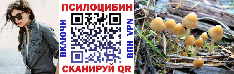 Псилоцибиновые грибы мицелий  купить наркоту  blacksprut ONION  Каменка 