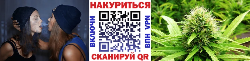 купить наркотики цена  Каменка  Конопля план 